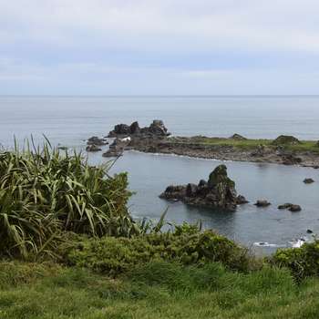 A Mini Road Trip to Cape Foulwind over Lewis Pass