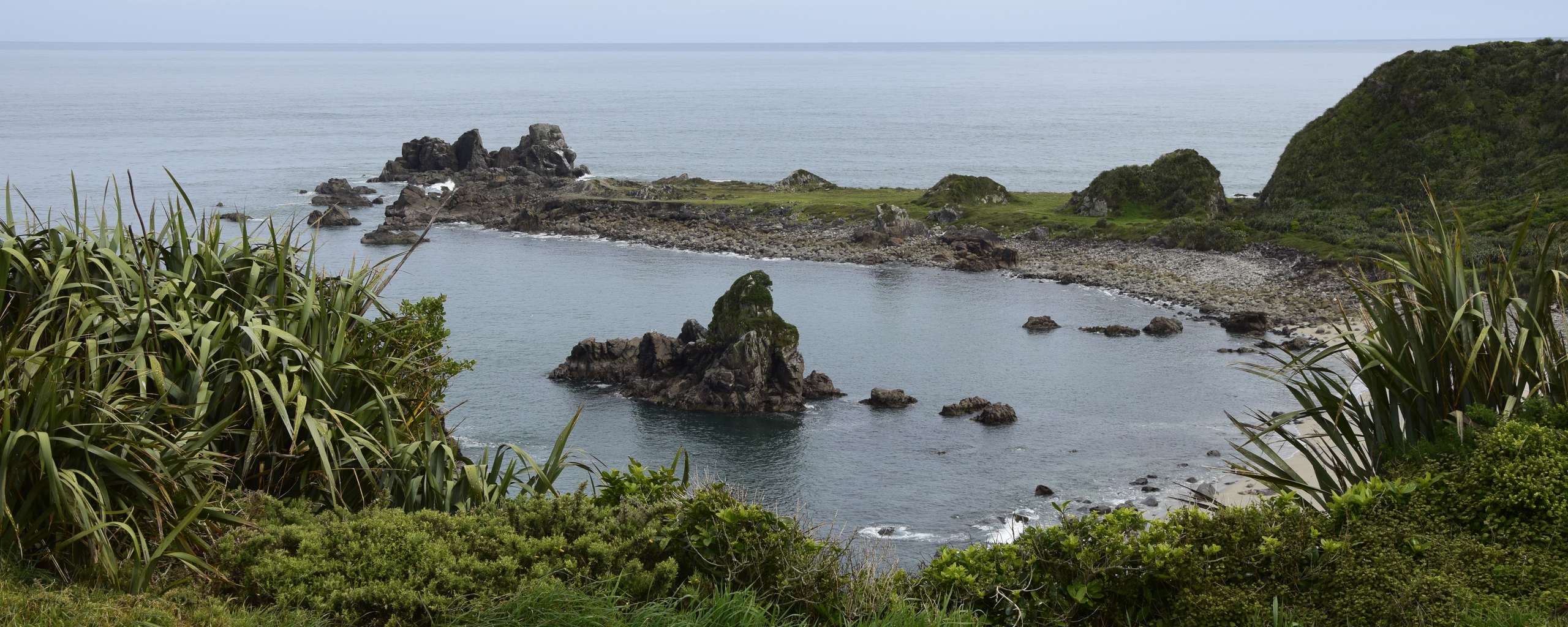 A Mini Road Trip to Cape Foulwind over Lewis Pass Banner